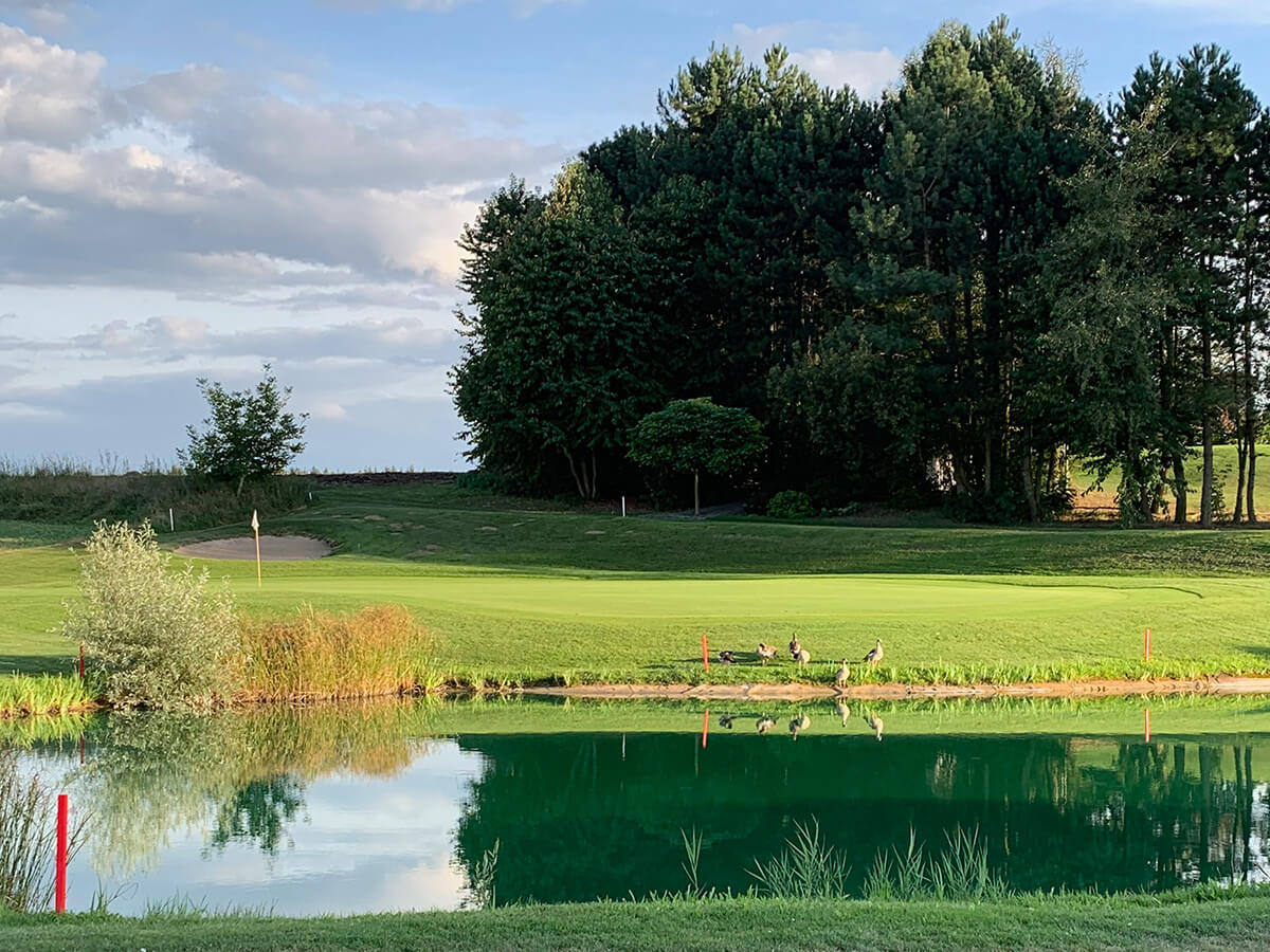 Header Golf-Turnierbericht 2019